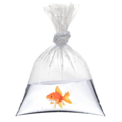 ARMA ŞEKER POŞETİ DÖRTLÜK 28X42 1KG - KİMPACK